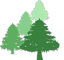 Spruce-logo,